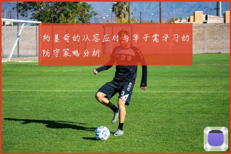 约基奇的从容应对与华子需学习的防守策略分析
